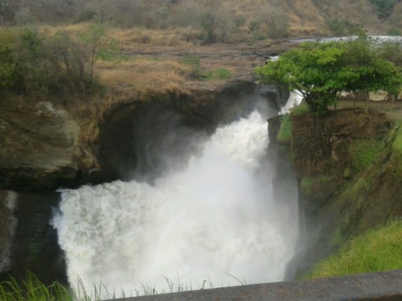 2015-02-26 16.39.01.jpg image